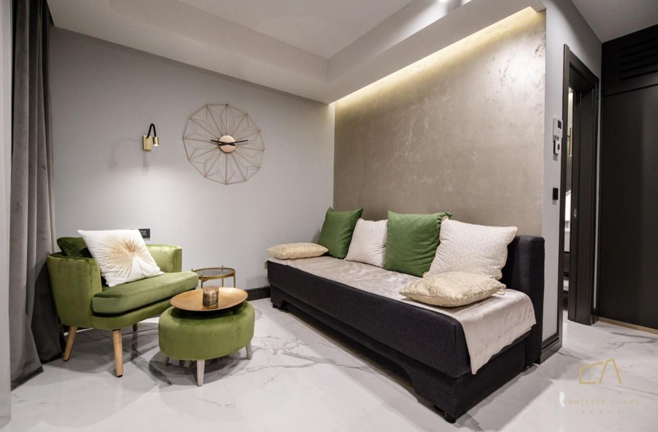 Luxury Apartments In Villa Curiera マリンスカ エクステリア 写真